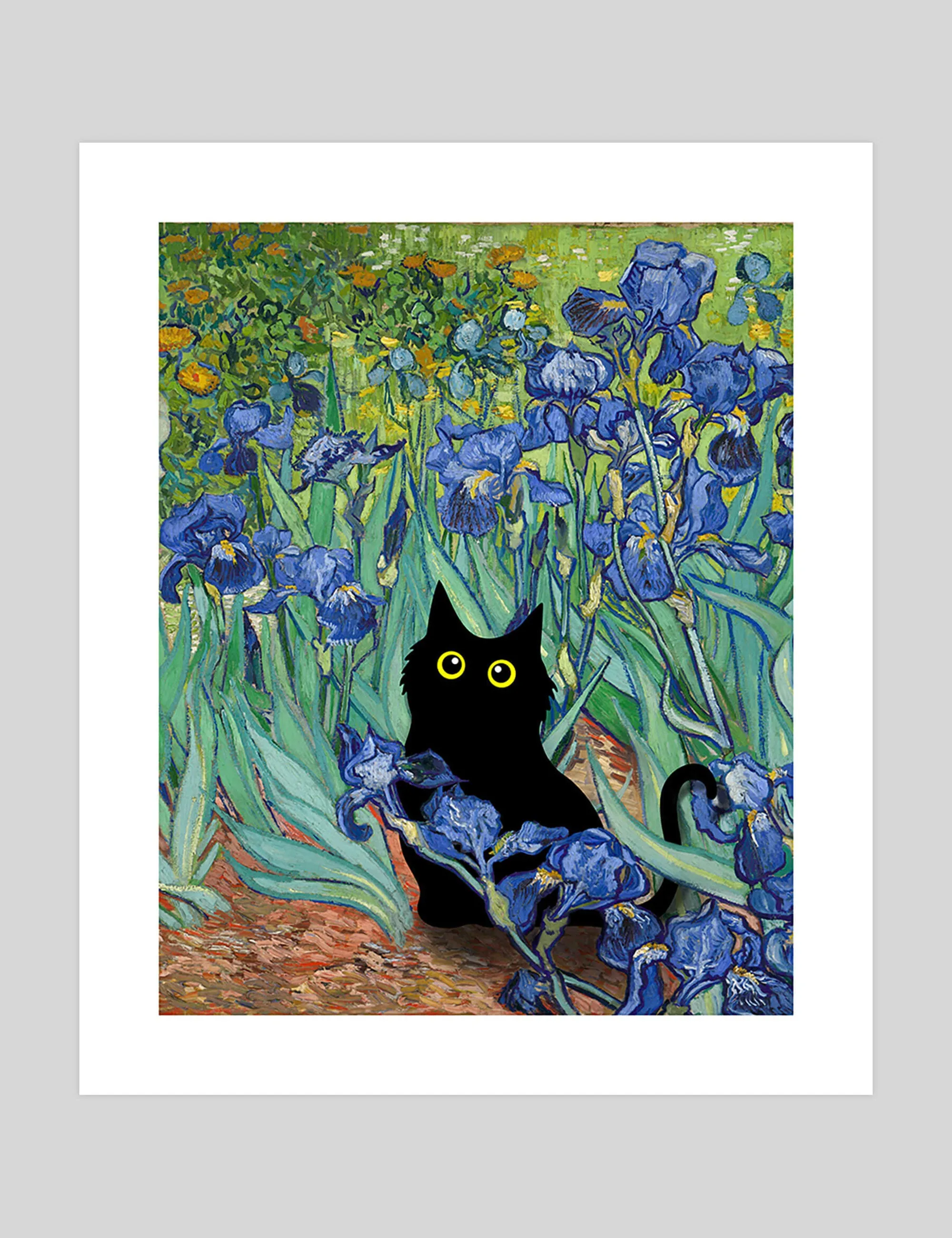 Irises Little Black Cat